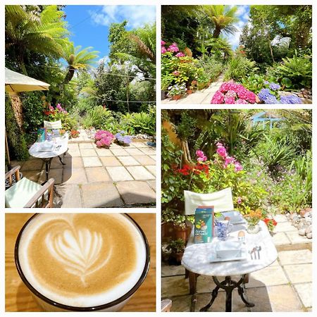 Funky Urban Jungle Bed & Breakfast Cardiff Eksteriør bilde